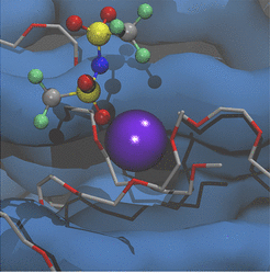 Ion Coordination and Chelation in a Glycolated Polymer Semiconductor: Molecular Dynamics and X-ray Fluorescence Study