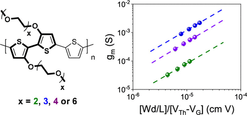 Ethylene Glycol-Based Side Chain Length Engineering in Polythiophenes and its Impact on Organic Electrochemical Transistor Performance