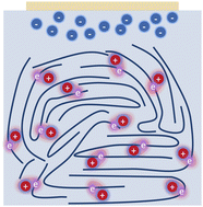 On the fundamentals of organic mixed ionic/electronic conductors